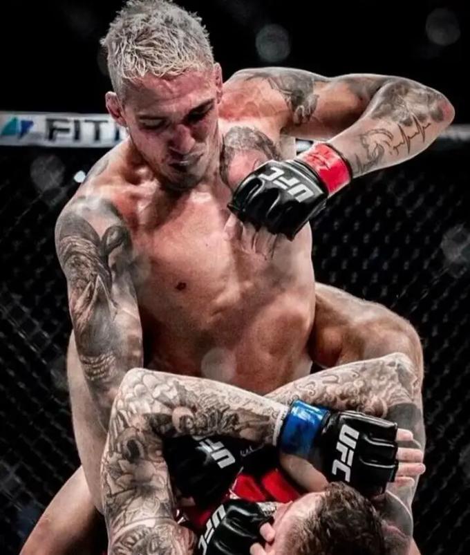 作为UFC, 敢轻视他, https 作为UFC, 敢轻视他, https